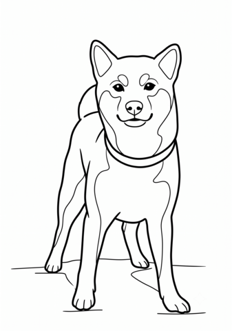 柴犬のぬりえ 無料印刷